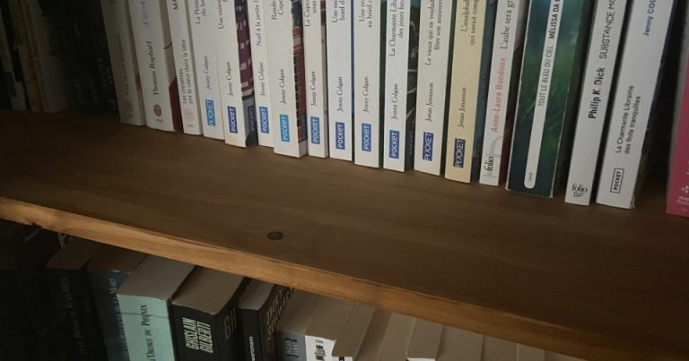Offrir des livres à “Bibliothèques Sans Frontières” : une belle illusion ?