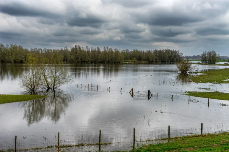 Inondations en France le 13 décembre 2024 : pertes agricoles significatives signalées.