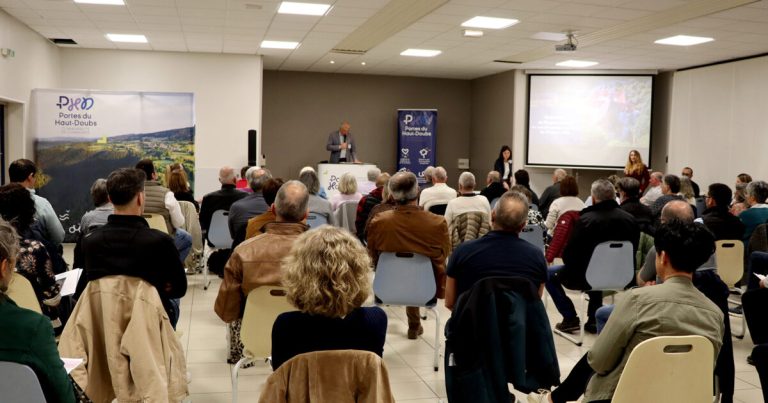 La mascarade du Conseil Communautaire : une farce politique à Portes du Haut-Doubs