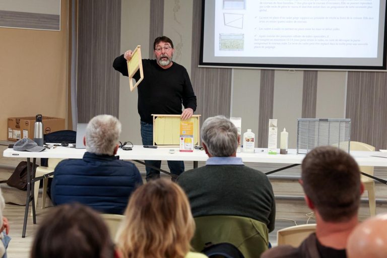 Le Varroa : La menace invisible qui fait trembler nos abeilles et nos politiques