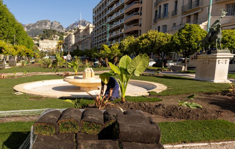 Jardins Biovès : un fleurissement en pleine crise, pendant que la ville s’enlise dans l’absurde !