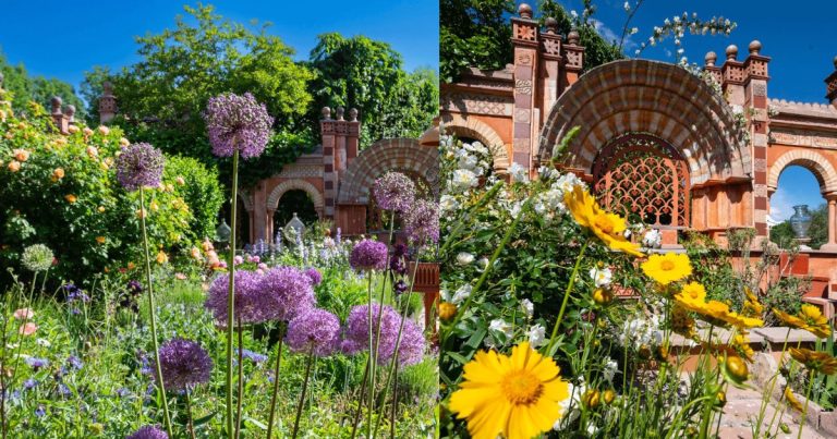 Les Jardins Secrets de Vaulx : Une Illusion de Magie au Service de l’Ordre