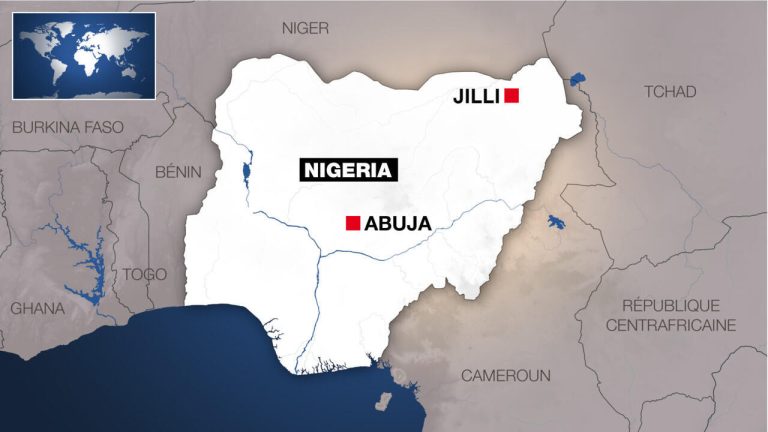 Au Nigeria, l&rsquo;armée fait le ménage… dans un marché