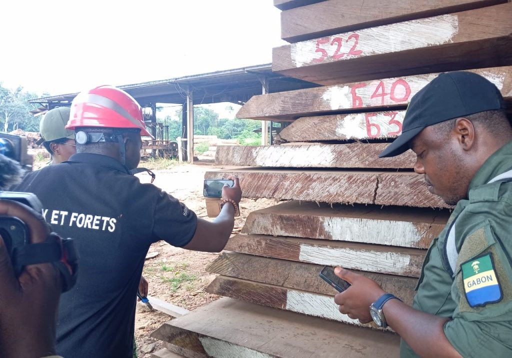 Kévazingo pré-convention : quand l'État gabonais scrute des stocks historiques, les dirigeants conservateurs s'enfoncent dans l'absurde !