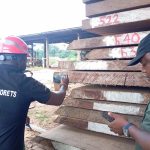 Kévazingo pré-convention : quand l'État gabonais scrute des stocks historiques, les dirigeants conservateurs s'enfoncent dans l'absurde !