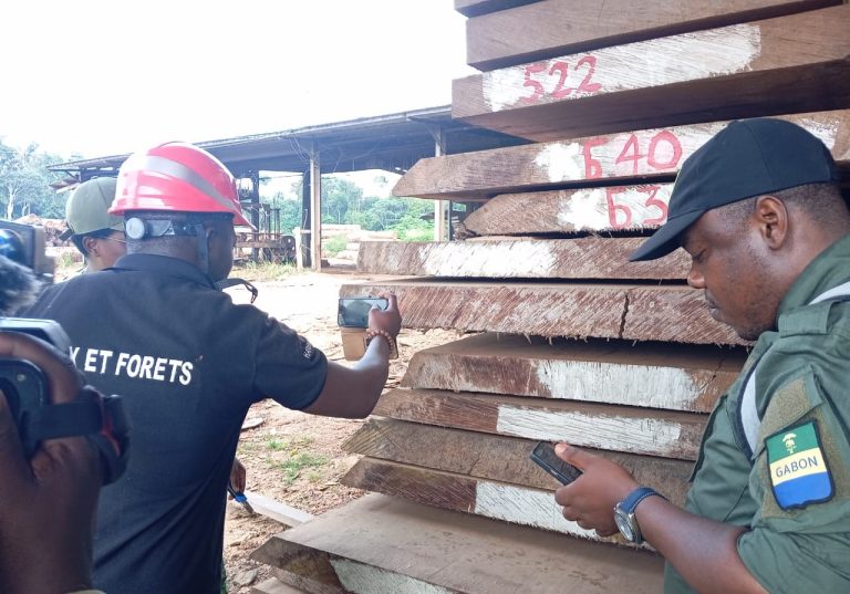 Kévazingo pré-convention : quand l'État gabonais scrute des stocks historiques, les dirigeants conservateurs s'enfoncent dans l'absurde !