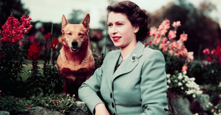 Elisabeth II : Une Icône de Beauté Intemporelle