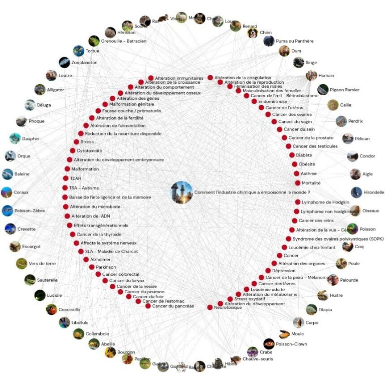 Lobbycratie : lancement d&rsquo;une bibliothèque digitale pour la transparence en France