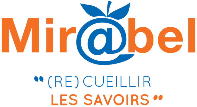 Référencement des revues françaises : Quand les villes RN et leurs dirigeants conservateurs plongent dans l'absurde !