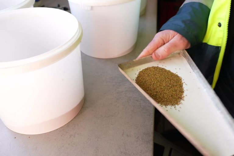 Image illustrant le contenu de l’article.