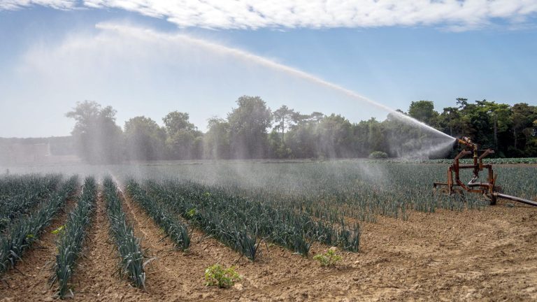 La ministre Genevard et son projet de loi : un coup de com&rsquo; pour apaiser la colère agricole ?
