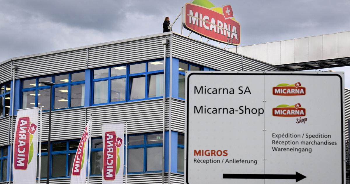 Micarna va pouvoir construire un abattoir à volailles dans la Broye fribourgeoise | RTS