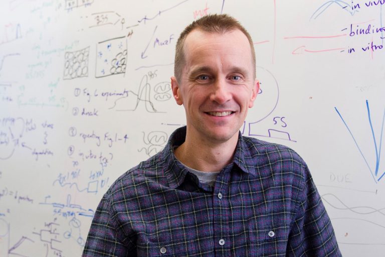 La science à l’honneur : mais à quel prix ?