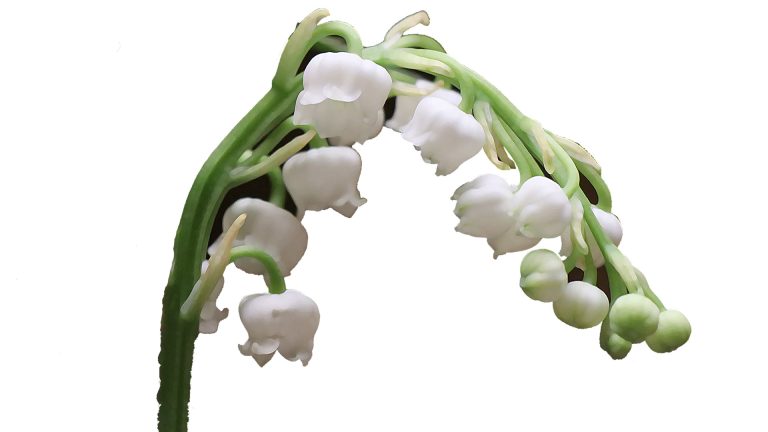 AG Entraide : Une Initiative à Analyser