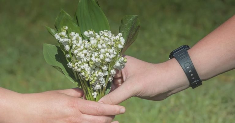 Muguet du 1er mai : une tradition qui fleurit… mais de plus en plus chère
