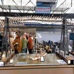 400 ans de la marine nationale, fête populaire, expo... Le musée maritime de Rouen à la conquête du public