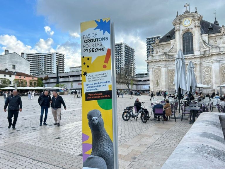 Pigeons de Nancy : la guerre des affiches et l&rsquo;absurdité d&rsquo;une politique de peur