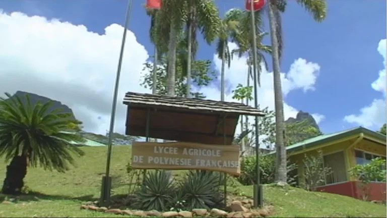 Moorea : Quand l’éducation se transforme en mirage