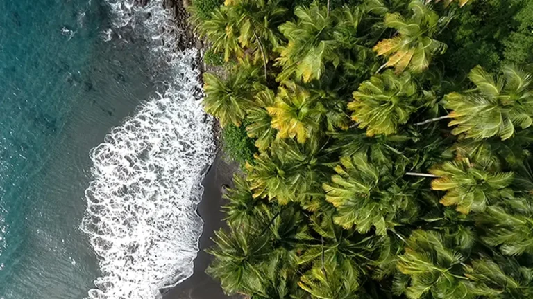 Drame à l&rsquo;Anse Couleuvre : Quand la négligence se transforme en tragédie