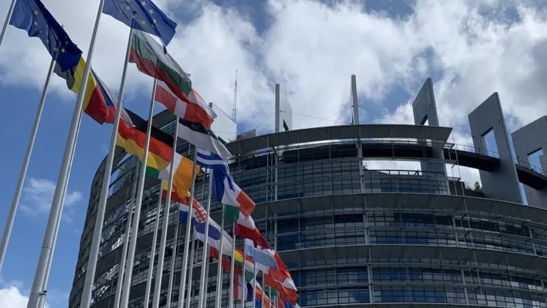 Sargasses : Quand l’Europe Ferme les Yeux sur l’Incompétence Locale