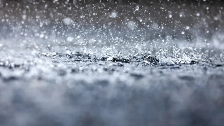 La Tempête de l&rsquo;Incompétence : Quand la Météo Révèle l&rsquo;Absurdie Politique