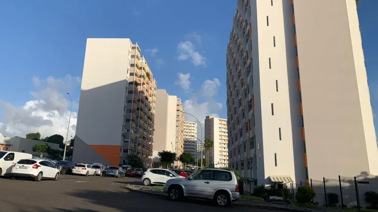 Vieillissement et logement social en Martinique : enjeux et perspectives