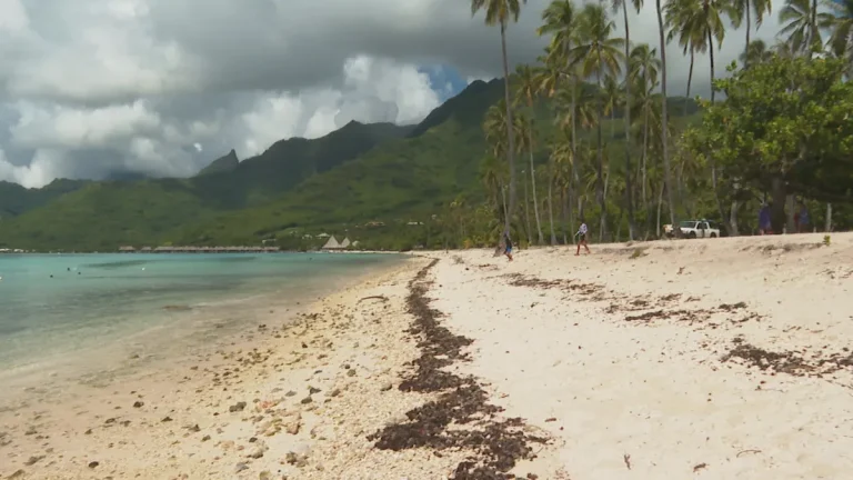 Consultation publique : un mirage à la plage de Temae