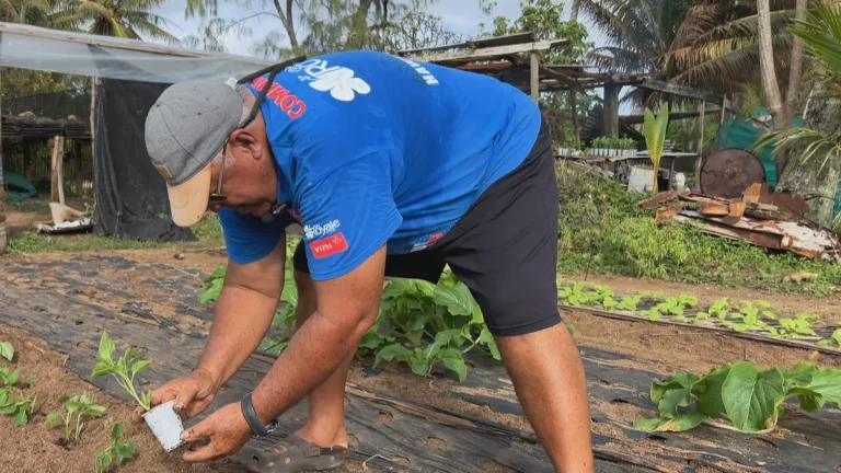 Temana : Le Père Nourricier et l’Absurdistan Économique