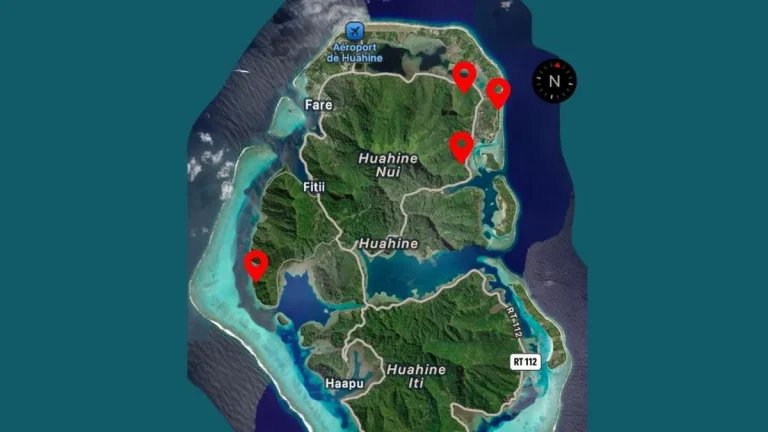 Huahine : La fourmi de feu, nouvel envahisseur des plages polynésiennes