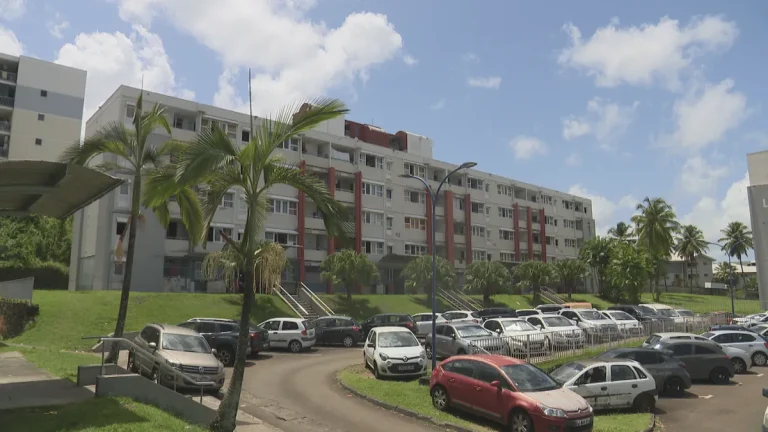 La Case Martiniquaise : Un Mirage de Propriété ?