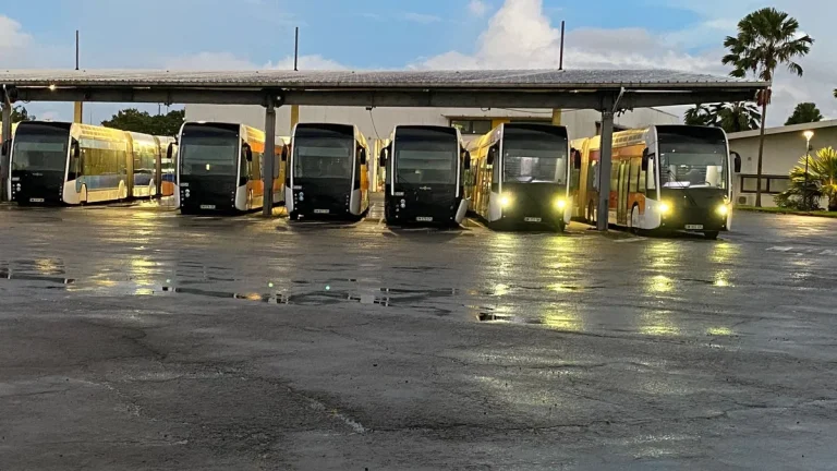Martinique : Le Chaos des Transports, Entre Vandalisme et Grève