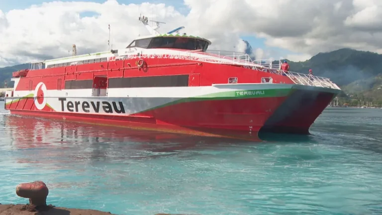 Liquidation du Terevau : Quand l’absurde se transforme en tragédie économique