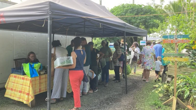 L&rsquo;éco-lieu de Tivoli : Un retour aux sources à Fort-de-France