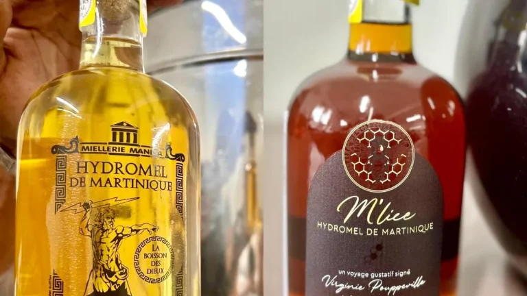 L&rsquo;Hydromel : Quand la Tradition Se Frotte à l&rsquo;Absurdie Économique