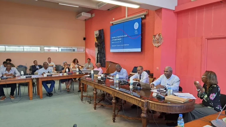 Fort-de-France : Érosion démographique et illusions démocratiques