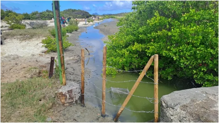 L&rsquo;Étang des Salines : Quand la Nature se heurte à l&rsquo;Inertie Humaine