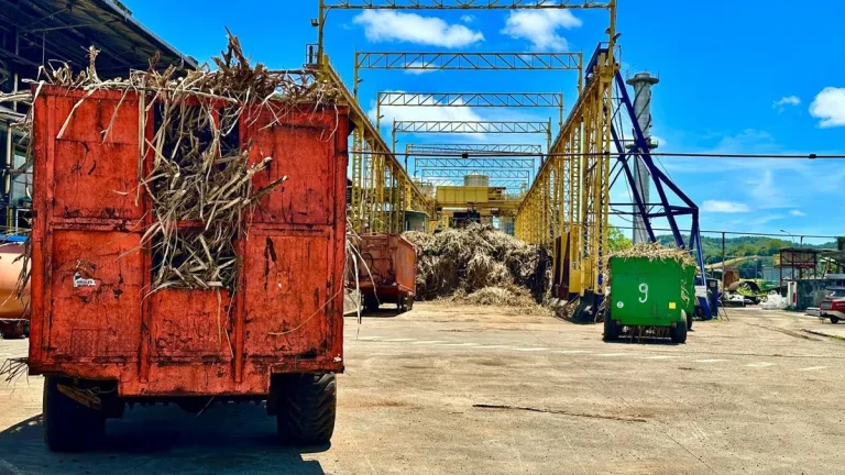 Sucre ou Déception : L&rsquo;Usine du Galion entre Optimisme et Réalité Amère