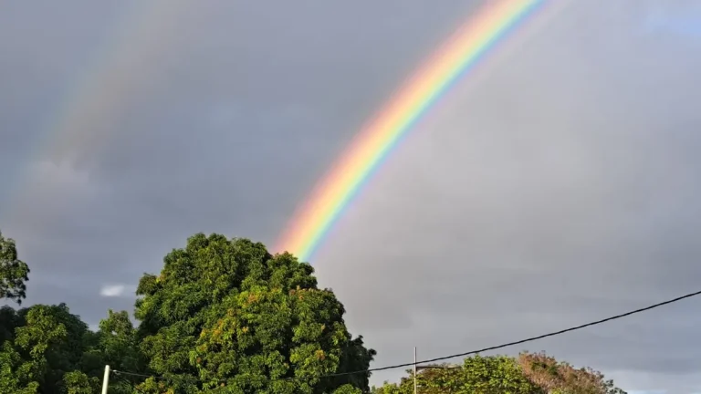 Météo en Guadeloupe : un retour au vert choquant face à l&rsquo;alerte jaune des îles du Nord !