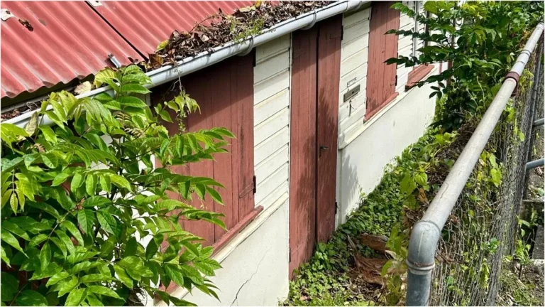 Indivision successorale : la loi qui délie les langues et les biens