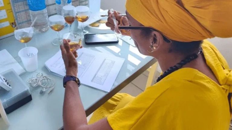 Miel de Guadeloupe : Quand la Nature se bat contre l&rsquo;Absurdistan