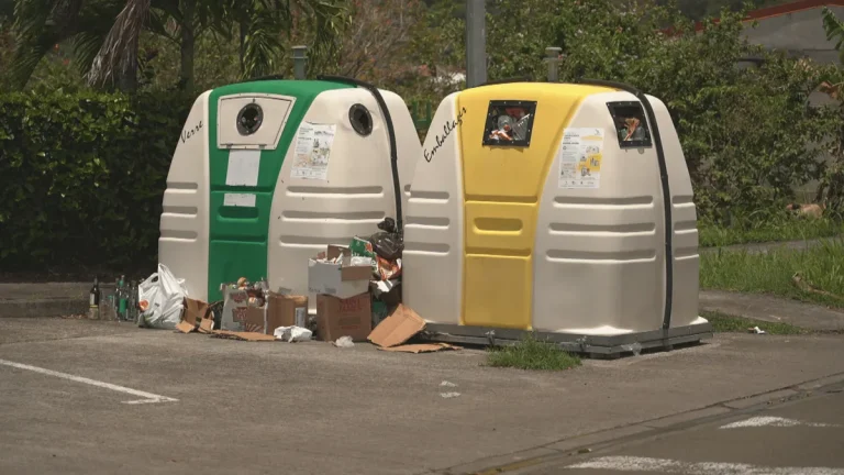 Image illustrant le contenu de l’article.