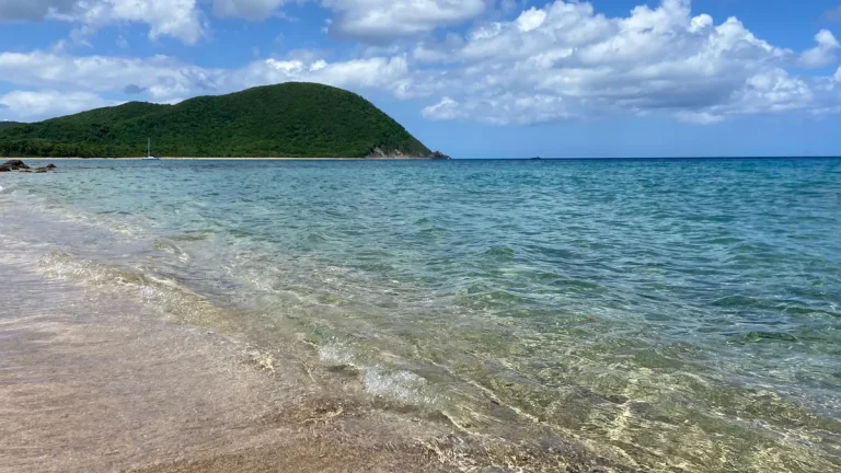 Image illustrant le contenu de l’article.