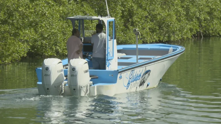 La pêche à la traîne : quand l&rsquo;État subventionne le naufrage