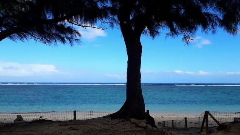 Le soleil brille, mais les nuages politiques s&rsquo;accumulent