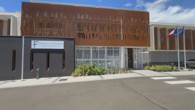 Impôts : La Déclaration, un Devoir Incontournable et un Sacré Casse-Tête