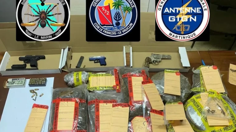 Saisie choquante : plus de 5 kg de cannabis et des armes, où va la sécurité au François ?