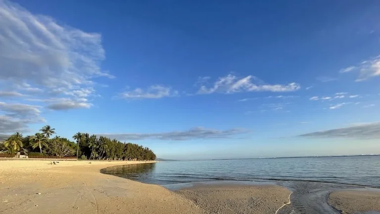 La Réunion : Quand la Météo Devient un Prétexte pour l’Inaction Politique