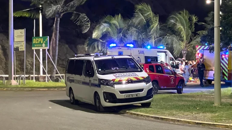 Requins et Réalité : Quand la Mer Devient un Territoire de Chasse