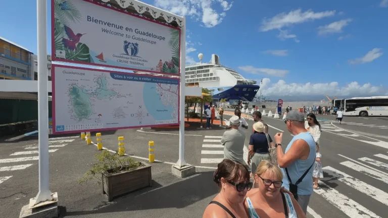 Croisières en Guadeloupe 2025-2026 : Un succès éclatant masquant une réalité désastreuse !