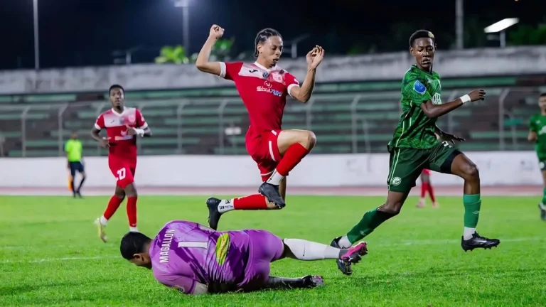 R1 : La lutte acharnée pour la survie et la gloire